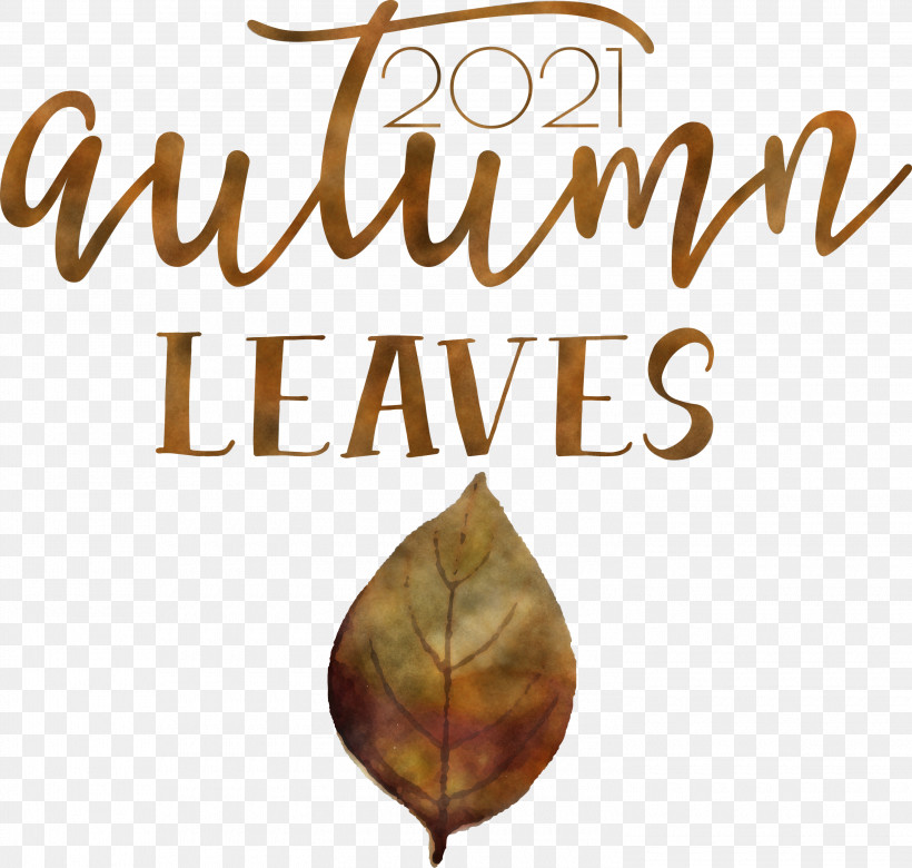 Autumn Leaves Autumn Fall, PNG, 3000x2855px, Autumn Leaves, Autumn, Biology, Fall, Leaf Download Free