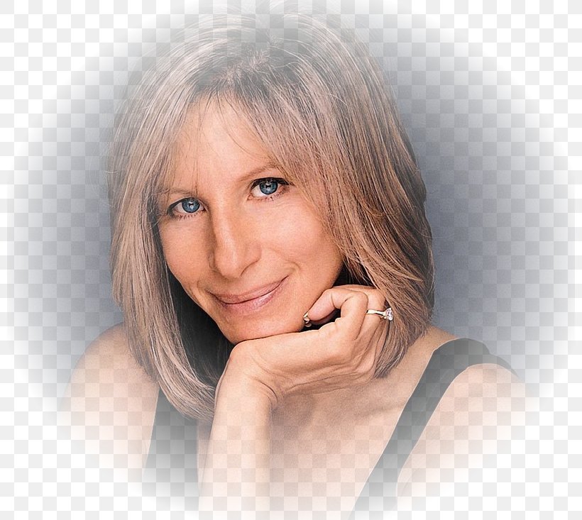 Barbra Streisand...and Other Musical Instruments Song Barbra Streisand...and Other Musical Instruments Actor, PNG, 800x733px, Watercolor, Cartoon, Flower, Frame, Heart Download Free