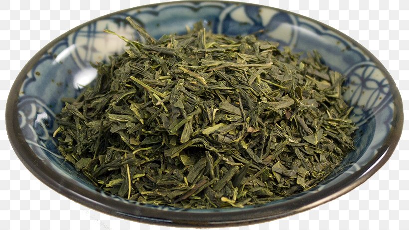 Hōjicha Nilgiri Tea Oolong Tea Plant, PNG, 800x461px, Hojicha, Assam Tea, Bai Mudan, Baihao Yinzhen, Bancha Download Free