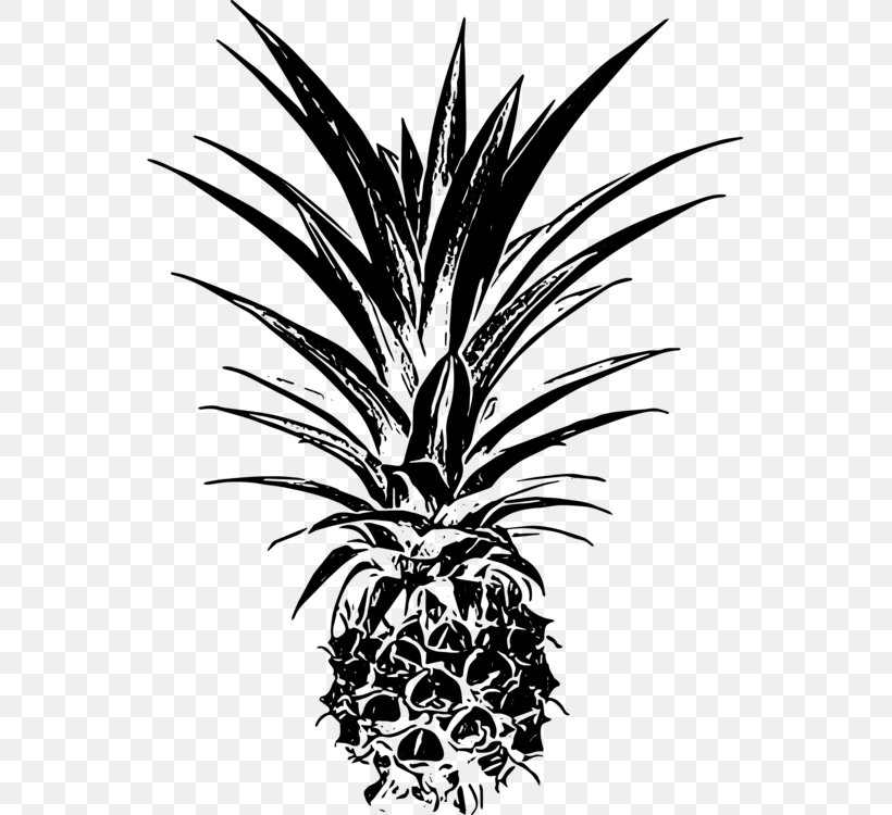 Palm Trees Clip Art Leaf Vector Graphics, PNG, 549x750px, Palm Trees, Ananas, Arecales, Attalea Speciosa, Black And White Download Free