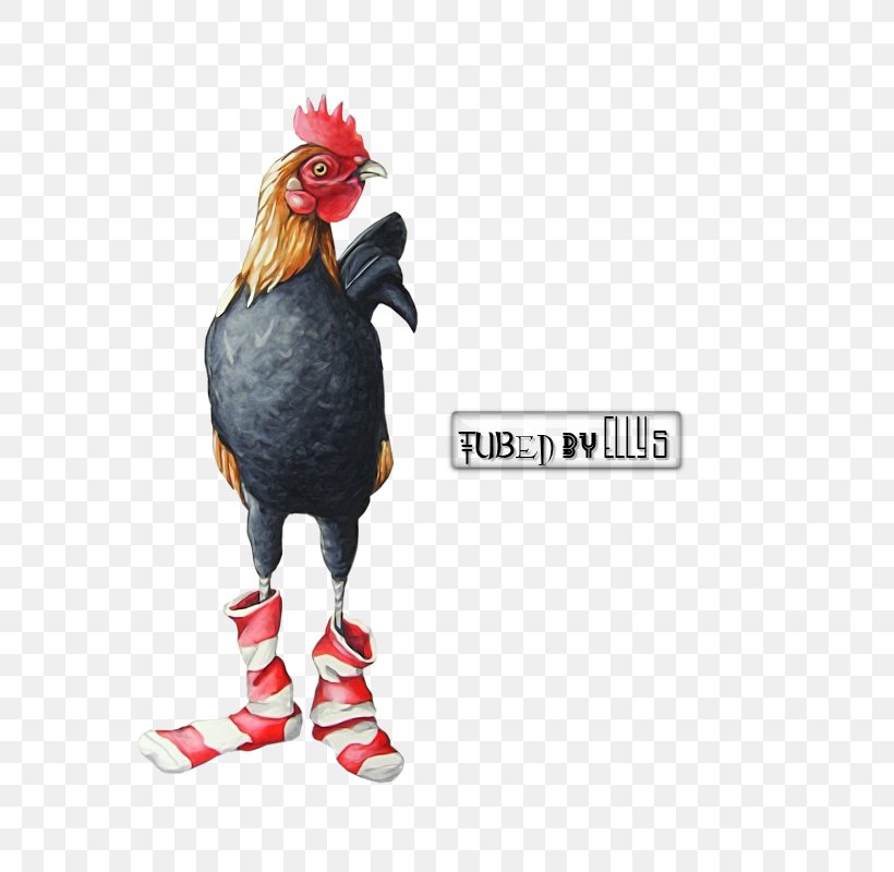 Rooster Chicken Sock Farm Pin, PNG, 800x800px, Rooster, Advertising, Art, Beak, Bird Download Free
