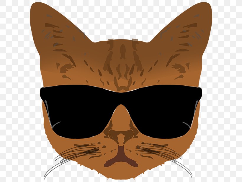 Whiskers Glasses Cat Snout, PNG, 618x618px, Whiskers, Carnivoran, Cat, Cat Like Mammal, Eyewear Download Free