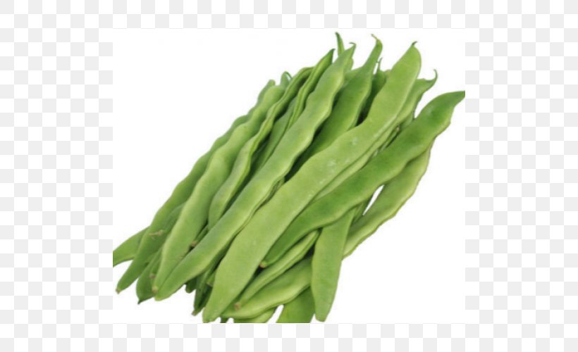 Common Bean Vegetable Hyacinth Bean Black-eyed Pea, PNG, 500x500px, Common Bean, Bean, Blackeyed Pea, Commodity, Food Download Free