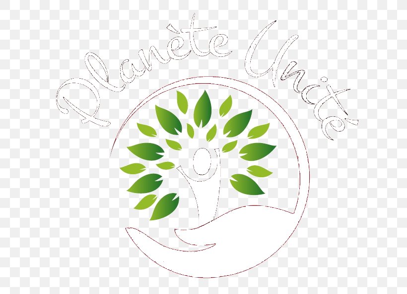 Petal Leaf Floral Design, PNG, 674x594px, Petal, Area, Diagram, Drawing, Environmental Protection Download Free