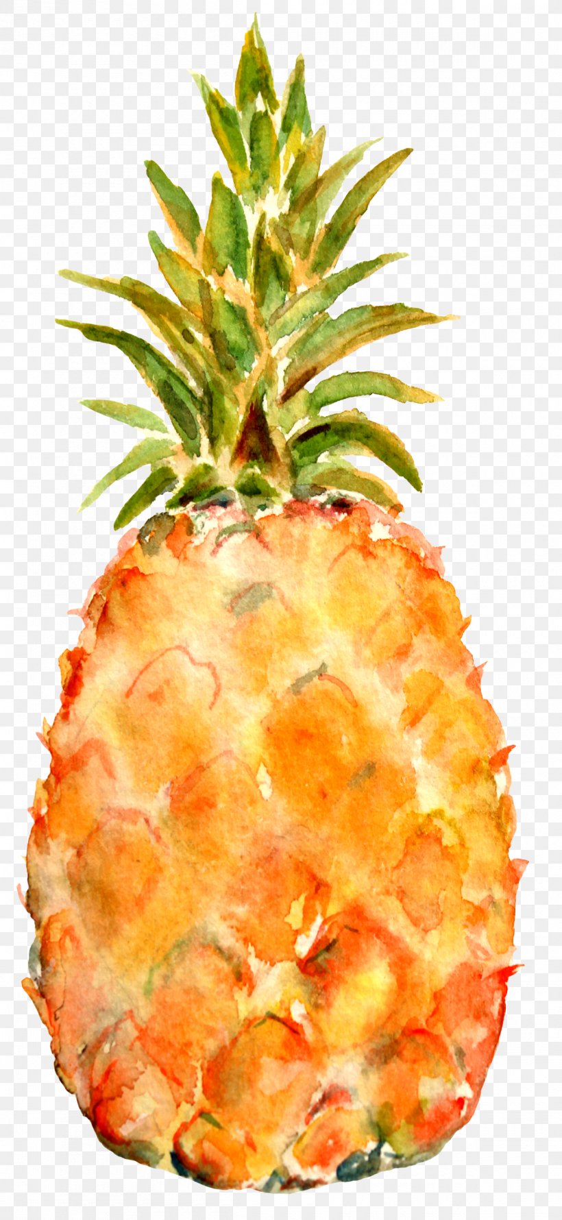 Pineapple Aguas Frescas Watercolor Painting Throw Pillows, PNG, 1200x2606px, Pineapple, Aguas Frescas, Ananas, Art, Bromeliaceae Download Free