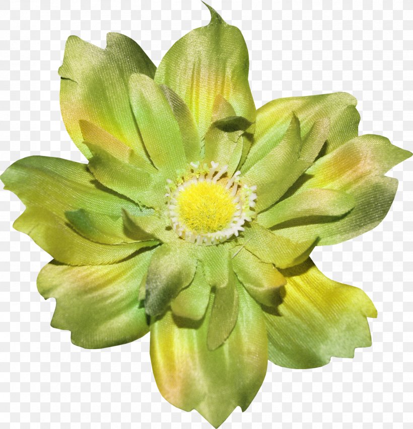 Plant Cut Flowers Chrysanthemum Daisy Family, PNG, 1454x1513px, Plant, Chrysanthemum, Chrysanths, Cuadro, Cut Flowers Download Free