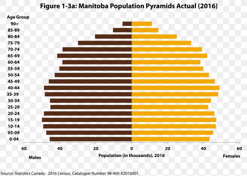 Population Pyramid United States Country O Brasil Que Dá Certo: O Novo Ciclo De Crescimento, 1994-2005, PNG, 2647x1888px, Population Pyramid, Brand, Chart, Country, Demography Download Free