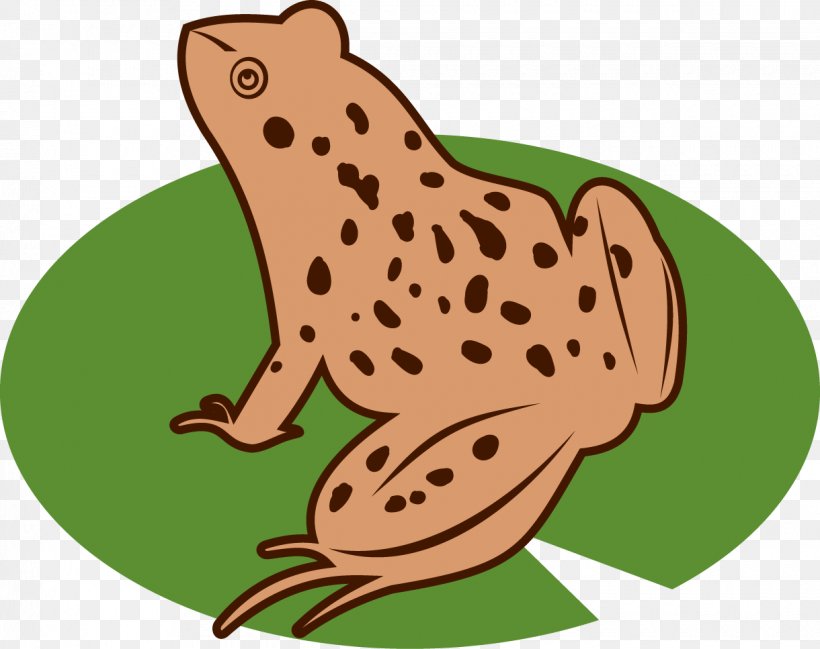 Toad True Frog Tree Frog Clip Art, PNG, 1220x967px, Toad, Amphibian, Artwork, Cartoon, Fauna Download Free