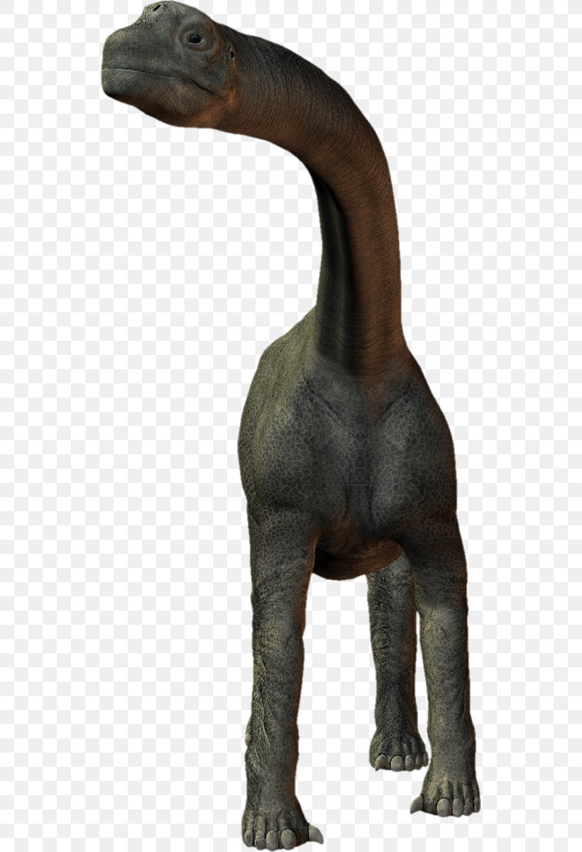 Velociraptor Tyrannosaurus Terrestrial Animal Snout, PNG, 536x1200px, Velociraptor, Animal, Animal Figure, Dinosaur, Fauna Download Free