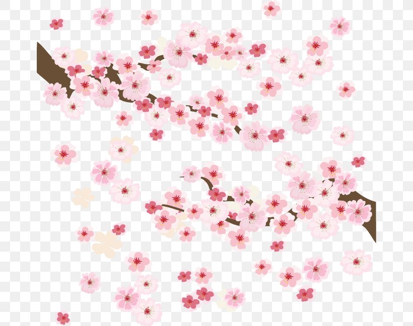 Cherry Blossom Clip Art, PNG, 674x648px, Cherry Blossom, Apricot, Blossom, Cherry, Floral Design Download Free