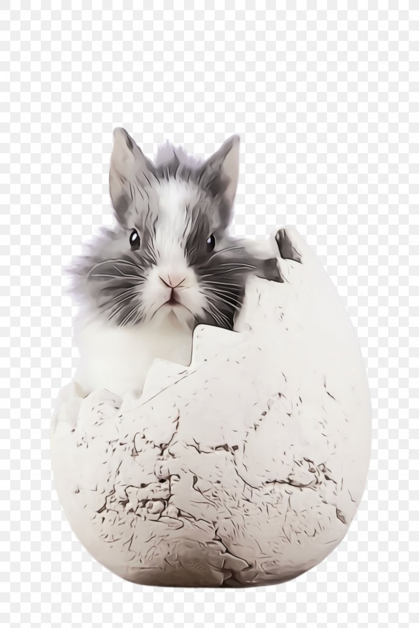 Hamster, PNG, 1632x2448px, Watercolor, Blackandwhite, Hamster, Mouse, Muroidea Download Free