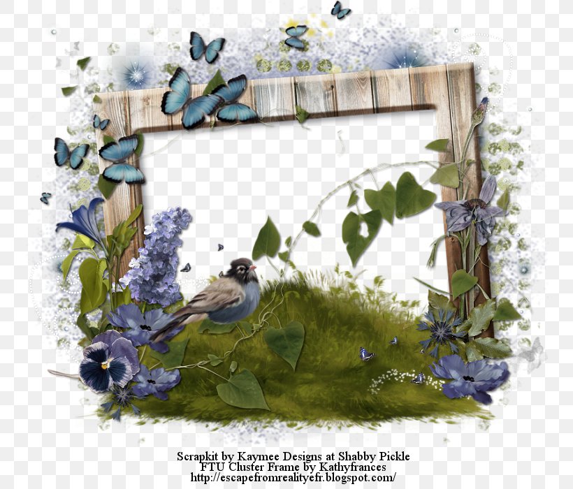 Picture Frames Xbox 360, PNG, 750x700px, Picture Frames, Bird, Blog, Branch, Color Download Free