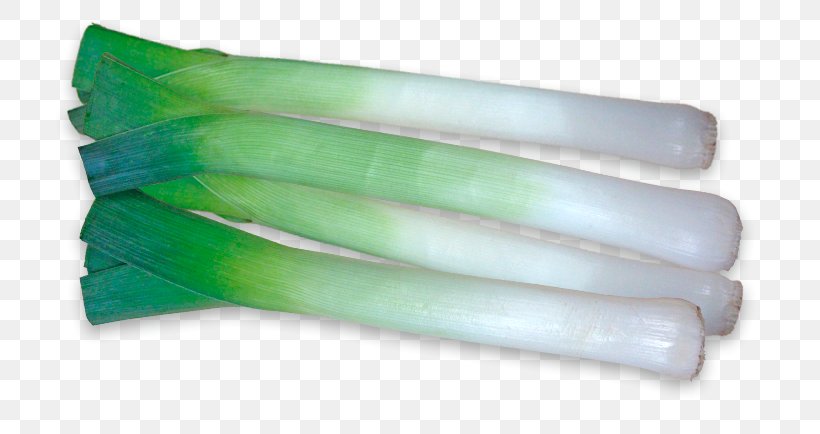 Garden Leek Image Onion, PNG, 770x434px, Garden Leek, Allium Tuberosum, Food, Leek, Onion Download Free