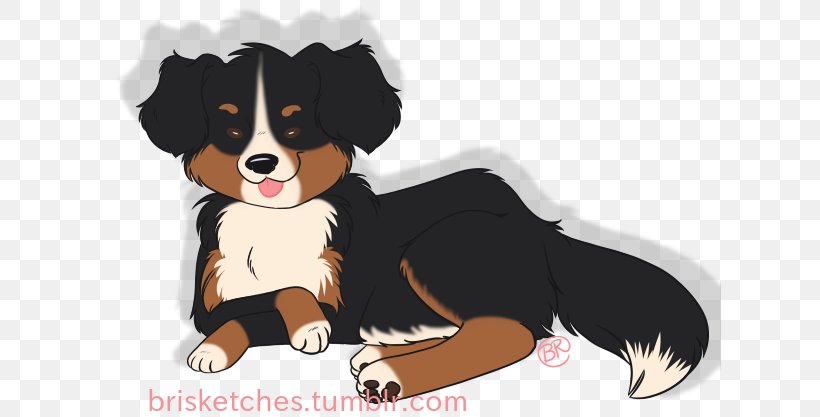 Bernese Mountain Dog Dog Breed Entlebucher Mountain Dog Puppy Companion Dog, PNG, 623x417px, Bernese Mountain Dog, Appenzeller Sennenhund, Australian Shepherd, Border Collie, Breed Download Free