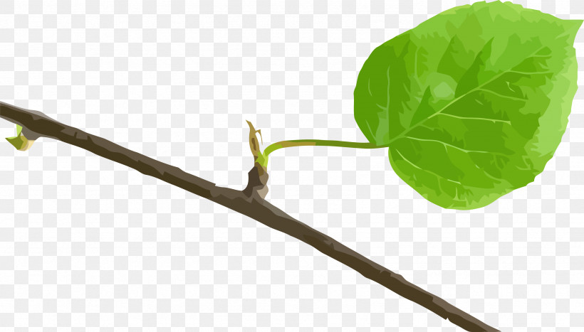 Bodhi Day, PNG, 3384x1931px, Bodhi Day, Biology, Leaf, Plant Stem, Plant Structure Download Free