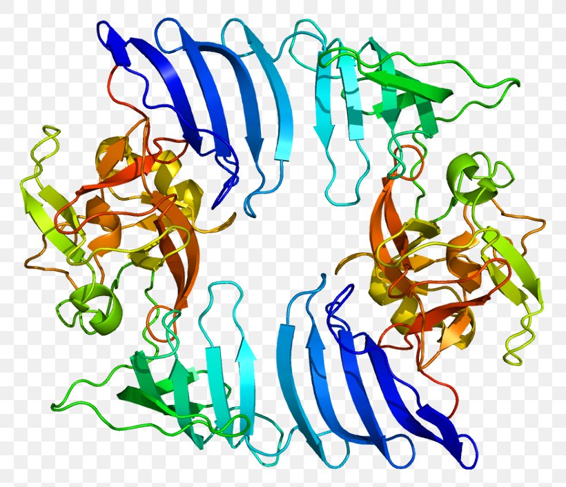 SETD7 Histone Methyltransferase Gene, PNG, 813x706px, Histone, Area, Art, Artwork, Ensembl Download Free