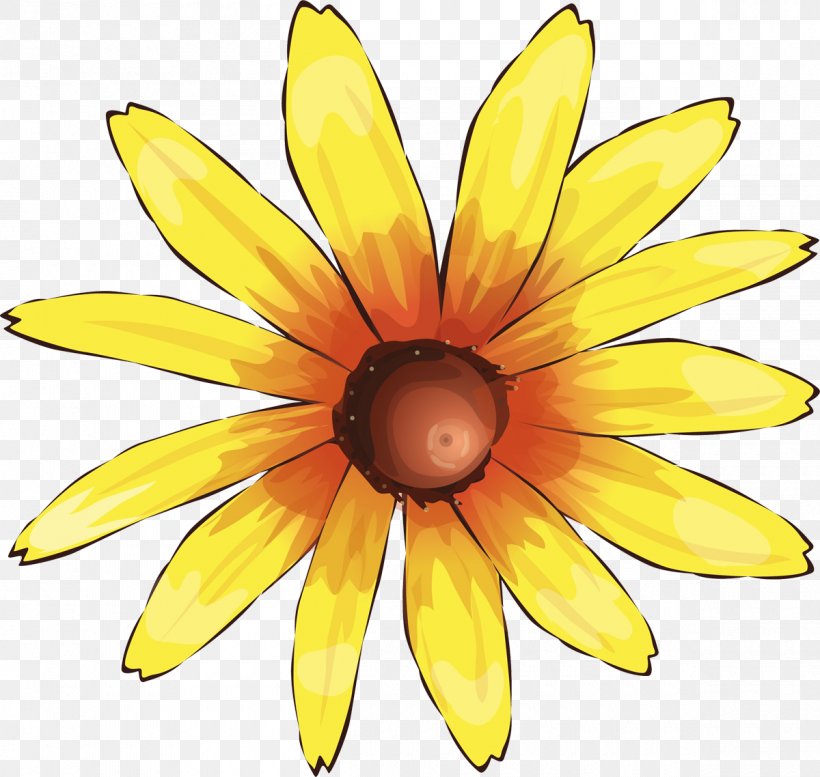 Symmetry Fruit, PNG, 1200x1138px, Symmetry, Daisy, Daisy Family, Flower, Flowering Plant Download Free