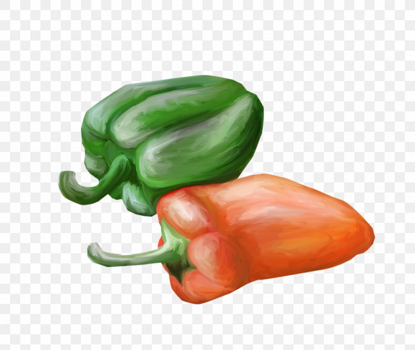 Bell Pepper Jalapexf1o Habanero Serrano Pepper Cayenne Pepper, PNG, 1024x863px, Bell Pepper, Bell Peppers And Chili Peppers, Capsicum, Capsicum Annuum, Cayenne Pepper Download Free