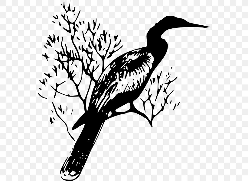 Black And White Silhouette Drawing Clip Art, PNG, 568x600px, Black And White, Anhinga, Art, Beak, Bird Download Free