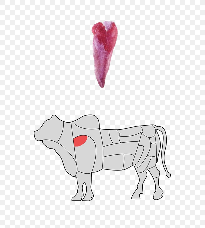 Canidae Horse Dog Finger, PNG, 601x912px, Watercolor, Cartoon, Flower, Frame, Heart Download Free