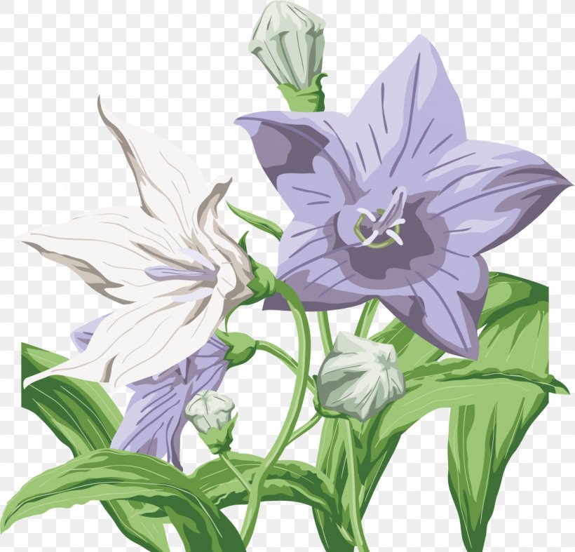 Flower Harebell Desktop Wallpaper Clip Art, PNG, 1156x1110px, Flower, Amaryllis Belladonna, Bellflower, Bellflower Family, Bellflowers Download Free