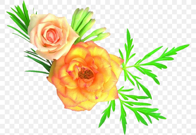 Garden Roses Martyr Iran–Iraq War Flower Disabled Iranian Veterans, PNG, 770x567px, Garden Roses, Altruism, Culture, Cut Flowers, Floral Design Download Free