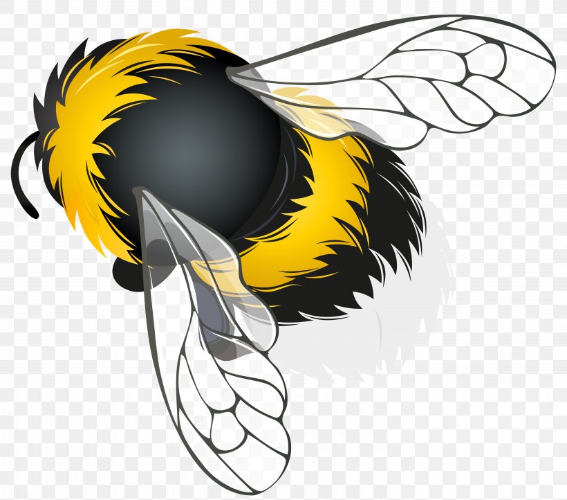 Honey Bee Insect Clip Art, PNG, 6000x5284px, Bee, Art, Beak, Bird, Cartoon Download Free
