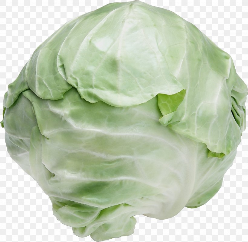 Cabbage Iceburg Lettuce Cruciferous Vegetables Vegetable Wild Cabbage, PNG, 2502x2449px, Watercolor, Brussels Sprout, Cabbage, Cruciferous Vegetables, Food Download Free