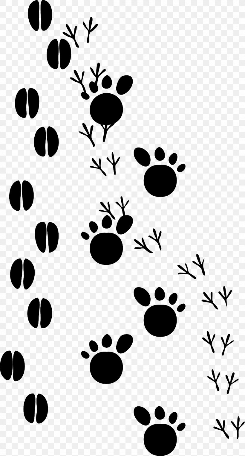 Dog Cat Footprint Paw Clip Art, PNG, 1033x1920px, Dog, Animal, Animal Track, Black, Black And White Download Free