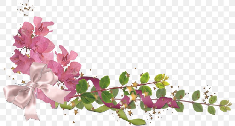 Flower Image Clip Art Borders And Frames, PNG, 800x439px, Flower, Blossom, Borders And Frames, Branch, Cherry Blossom Download Free