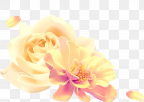 Painting - Garden Roses Drawing Watercolor Painting PNG