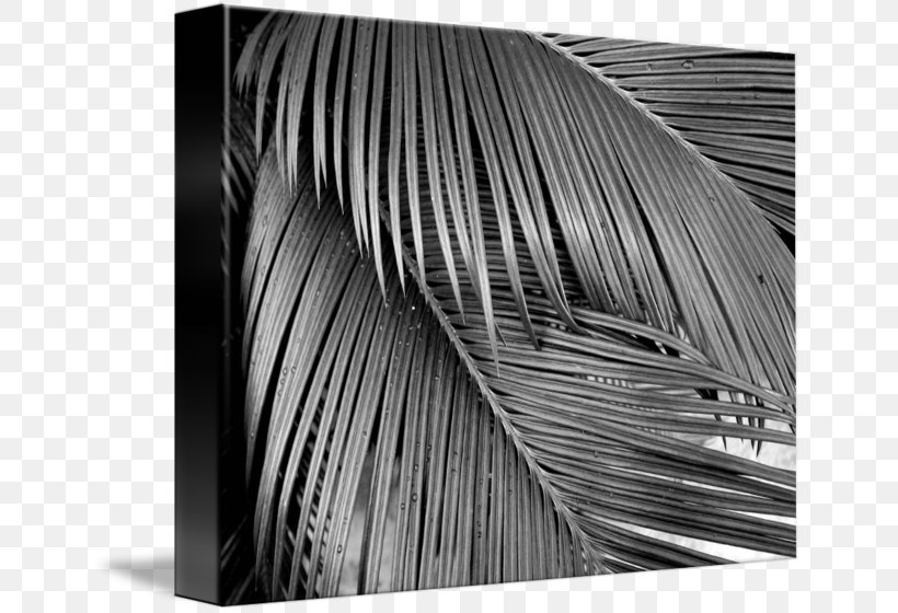 Line Photography Wood Angle /m/083vt, PNG, 650x560px, Photography, Black, Black And White, Black M, Closeup Download Free