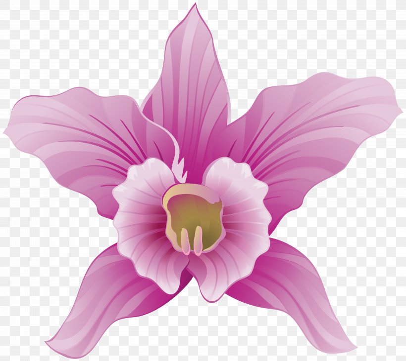 Moth Orchids Clip Art, PNG, 8000x7135px, Orchids, Blog, Can Stock Photo, Cut Flowers, Daylily Download Free