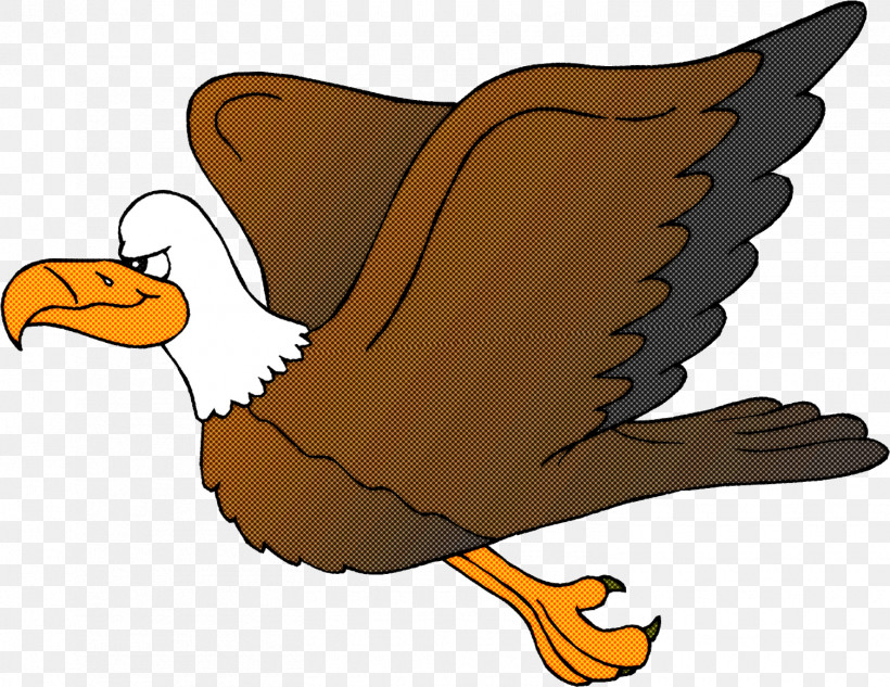 Bird Cartoon Eagle Beak Golden Eagle, PNG, 1505x1162px, Bird, Beak, Bird Of Prey, Cartoon, Eagle Download Free