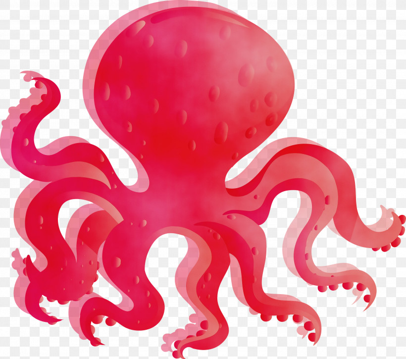 Octopus Giant Pacific Octopus Octopus Red Pink, PNG, 3000x2656px, Watercolor, Giant Pacific Octopus, Material Property, Octopus, Paint Download Free