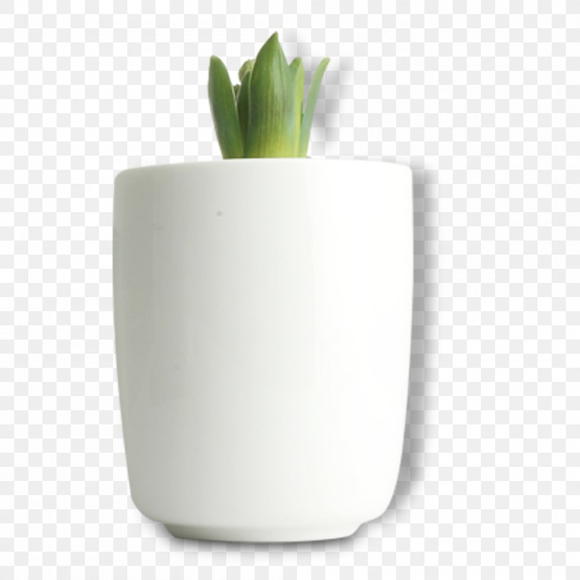 Bonsai Flowerpot, PNG, 1000x1000px, Bonsai, Aloe, Aloe Vera, Ceramic, Designer Download Free