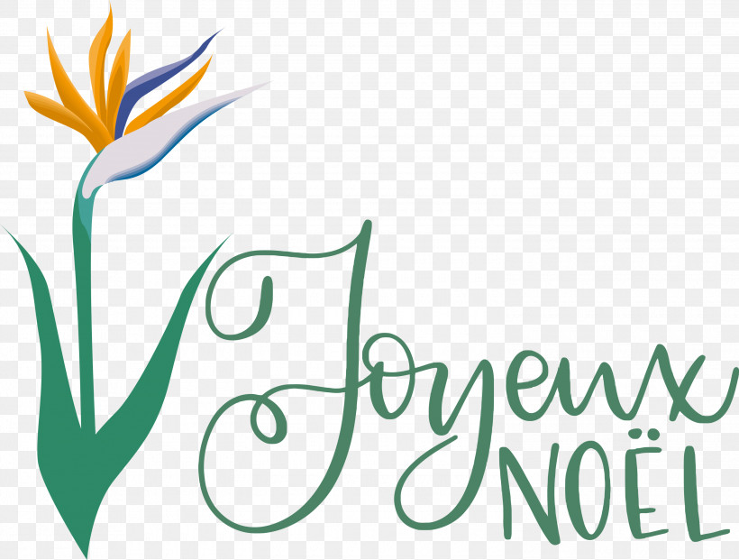 Noel Nativity Xmas, PNG, 3000x2274px, Noel, Christmas, Flora, Floral Design, Flower Download Free