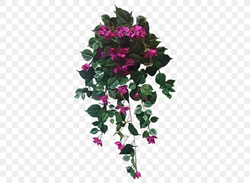 Artificial Flower Fuchsia Floral Design Cut Flowers, PNG, 800x600px, Artificial Flower, Annual Plant, Cut Flowers, Fittonia, Flora Download Free