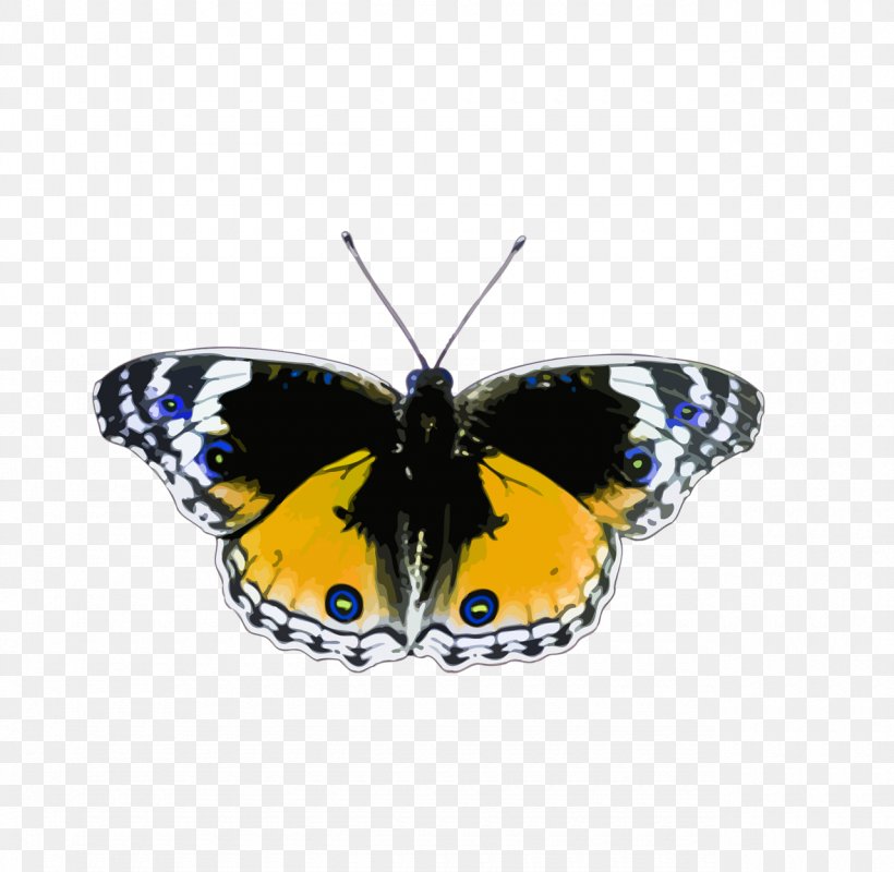 Butterfly Insect Clip Art, PNG, 1280x1249px, Butterfly, Animal, Arthropod, Brush Footed Butterfly, Insect Download Free