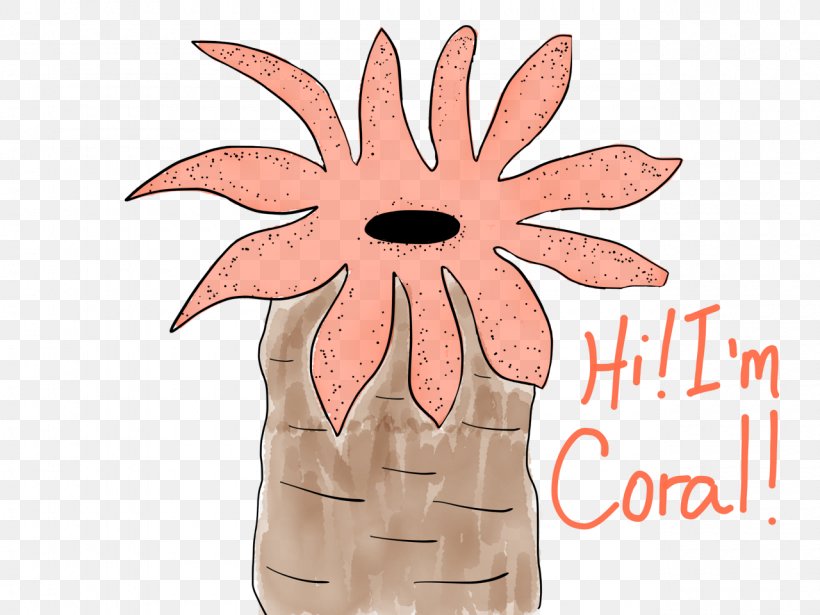 Coral Polyp Sketch Drawing Graphics, PNG, 1280x960px, Coral, Cartoon, Colony, Coral Reef, Coreldraw Download Free