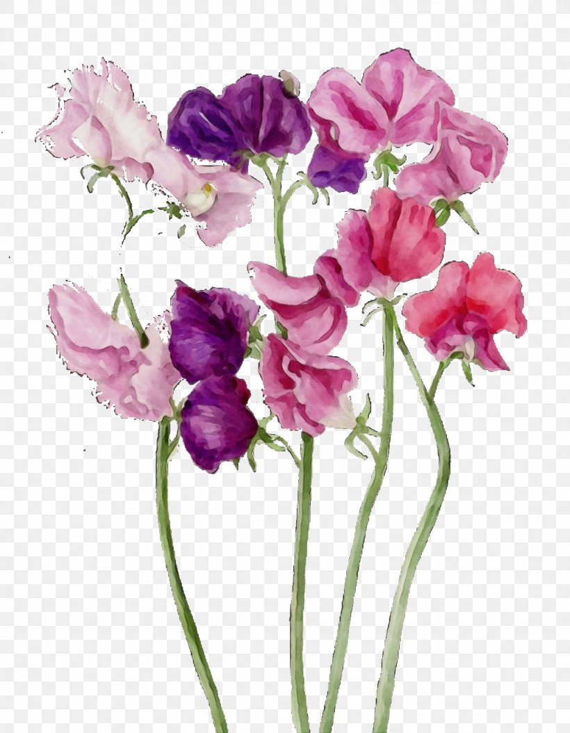 Flower Flowering Plant Plant Petal Cut Flowers, PNG, 1024x1317px, Watercolor, Cut Flowers, Flower, Flowering Plant, Paint Download Free