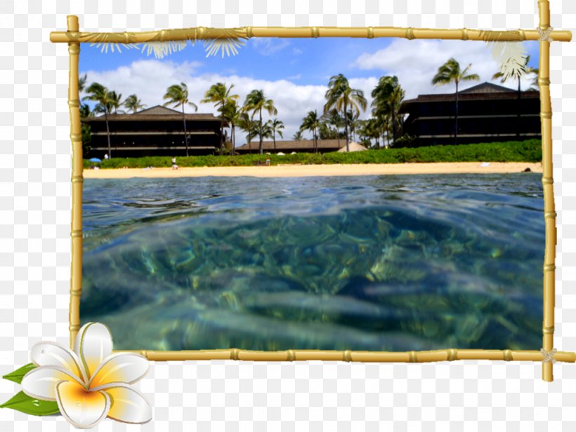 Hoku Water Sports Poipu Beach Picture Frames Poipu Road, PNG, 1021x768px, Poipu Beach, Advertising, Beach, Hawaii, Kauai Download Free