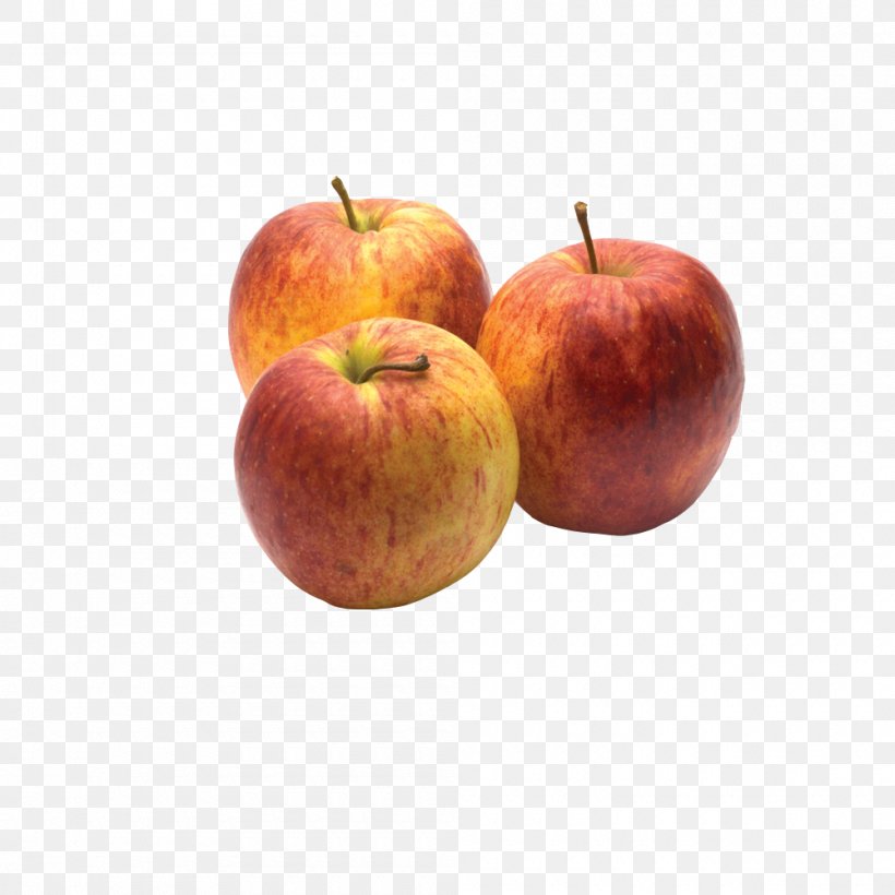 IPad Apple Auglis, PNG, 1000x1000px, Ipad, Apple, Apple Watch, Auglis, Computer Download Free