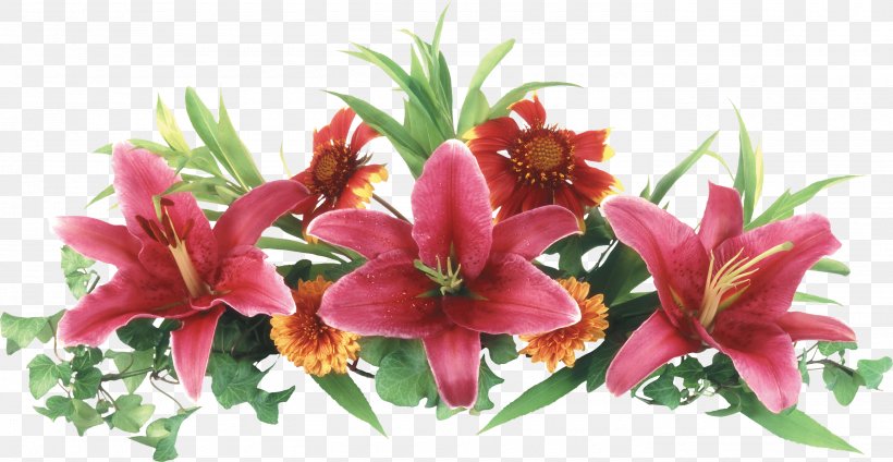 Lilium Flower Clip Art, PNG, 2800x1451px, Lilium, Color, Cut Flowers, Digital Image, Display Resolution Download Free