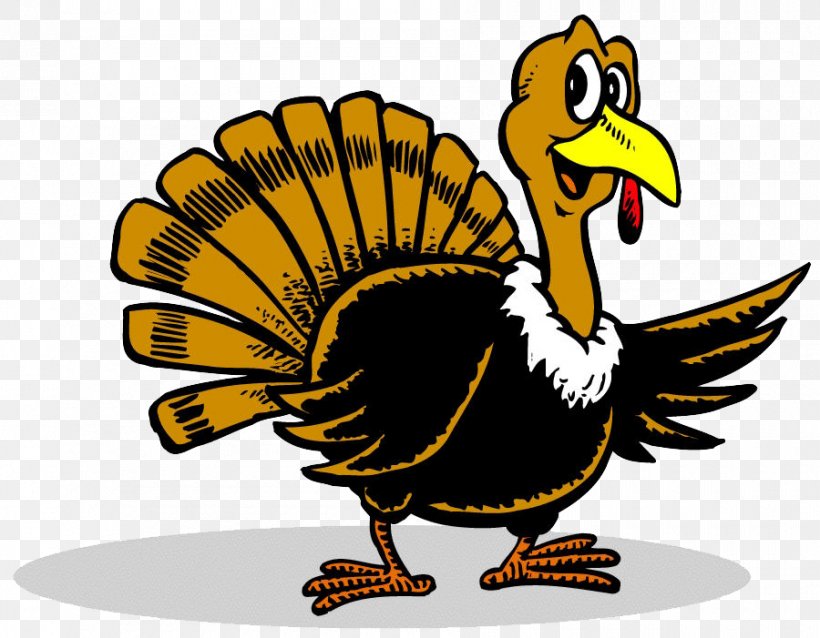 Plymouth Rock Thanksgiving Turkey Cartoon Clip Art, PNG, 900x701px, Plymouth Rock, Beak, Bird, Cartoon, Chicken Download Free
