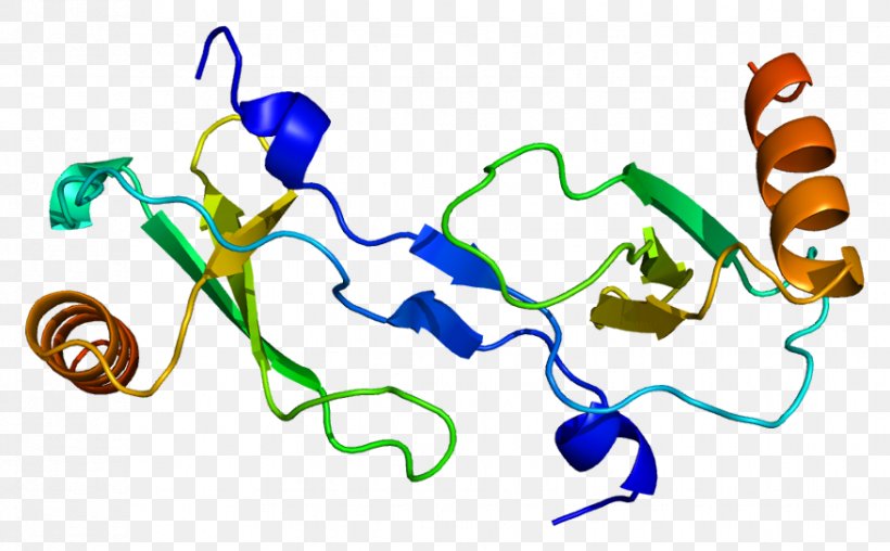 CCL2 Chemokine Monocyte Protein Cytokine, PNG, 877x544px, Chemokine, Area, Artwork, Cc Chemokine Receptors, Cell Download Free