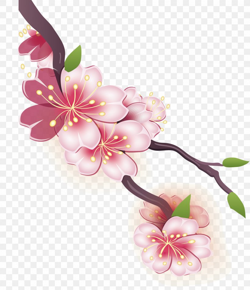 Cherry Blossom Drawing Watercolor Painting, PNG, 3010x3498px, Cherry Blossom, Blossom, Branch, Cerasus, Drawing Download Free