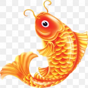 Carp Images Carp Transparent Png Free Download