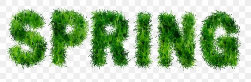Green Font Line Biome Grasses, PNG, 1704x560px, Green, Biome, Grass, Grasses, Plant Download Free