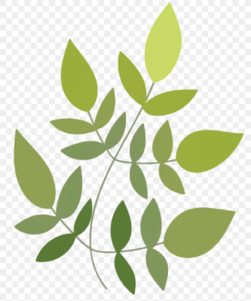 Green Leaf Background, PNG, 1432x1720px, Leaf, Branch, Flower, Green, Picture Frames Download Free